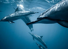 不打不相识，海米提曾头顶张玉宁染红造中超名场面